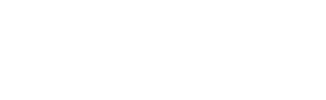 Logo Signal 88 Security
