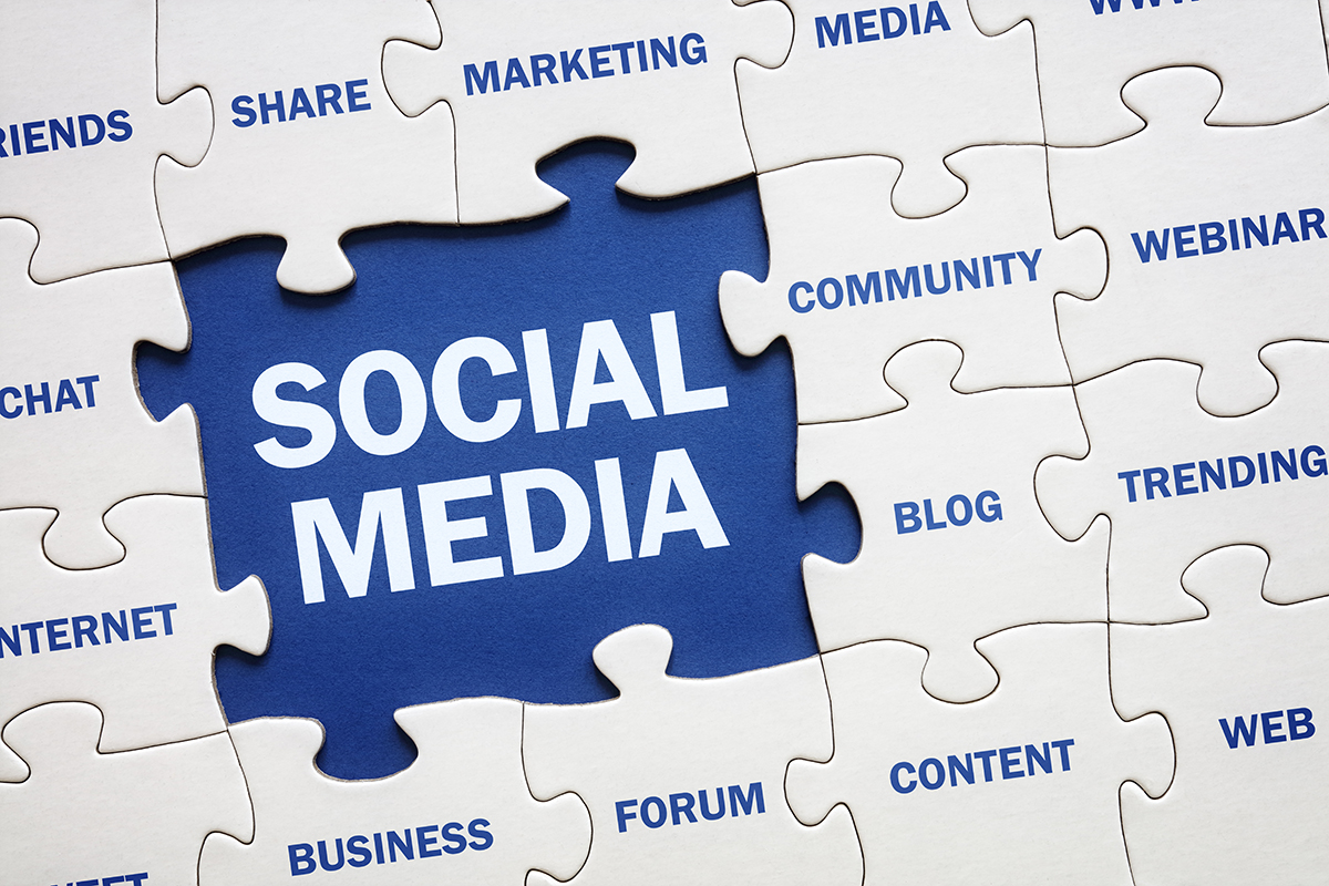 A jigsaw puzzle with the text "social media"